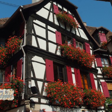 Obernai
